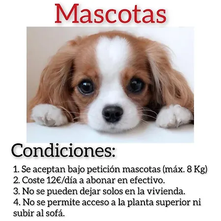 Campillin Lado Ayuntamiento Www Venaoviedo Es شقة