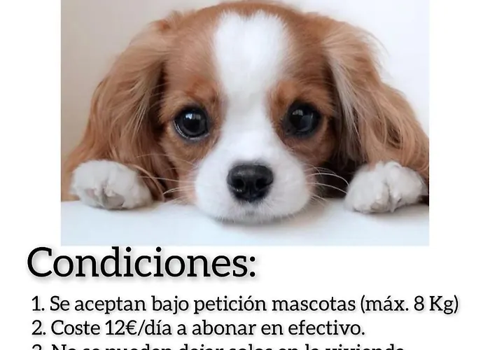 Campillin Lado Ayuntamiento Www Venaoviedo Es Apartment